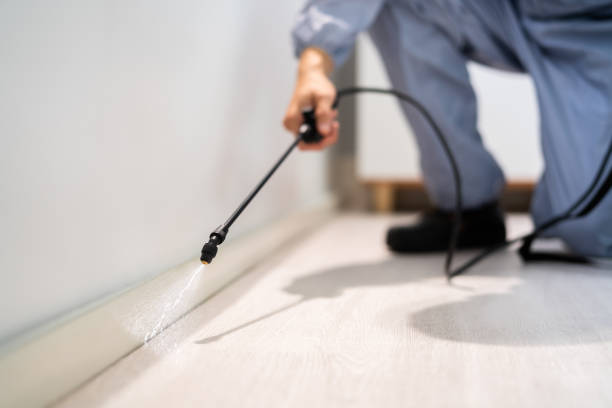 Licensed Fumigation Services service in Spring Mount, PA - Nex Pest Control