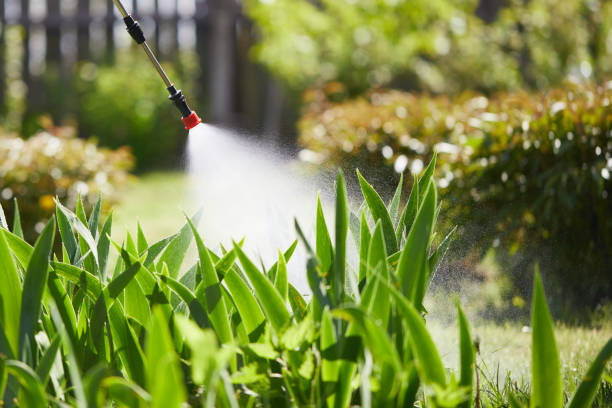 24/7 Emergency Fumigation Services experts in Spring Mount, PA