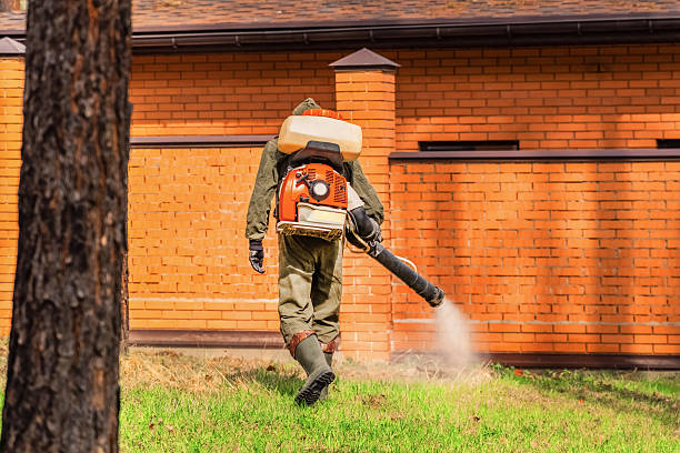 Trusted Mosquito Control service in Spring Mount, PA - Nex Pest Control